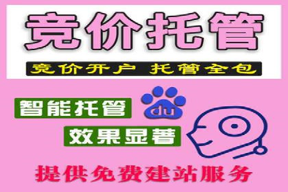 提升网站排名——SEO的实战案例分享